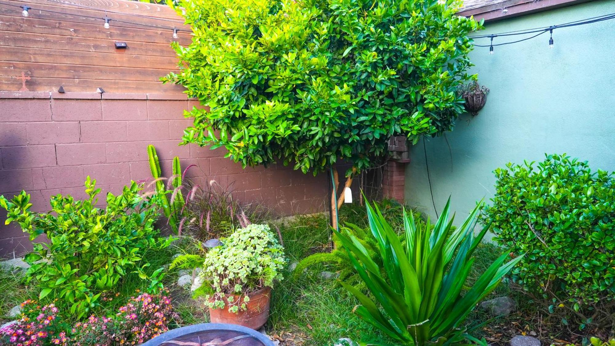 Cozy Private Guest House Los Angeles Exterior foto